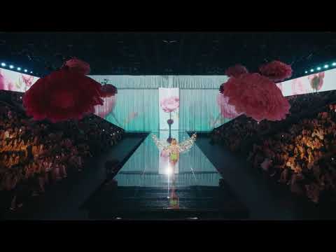 Fashion & Beauty